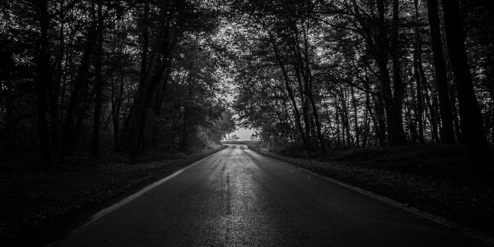 4098x2841 Download wallpaper 4098x2841 road, trees, bw, dark, forest hd background