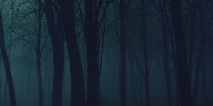 720x1280 Dark/Forest (720x1280) Wallpaper ID: 297370