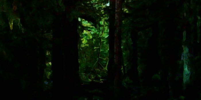 1024x768 Dark forest wallpaper | Dark forest wallpaper