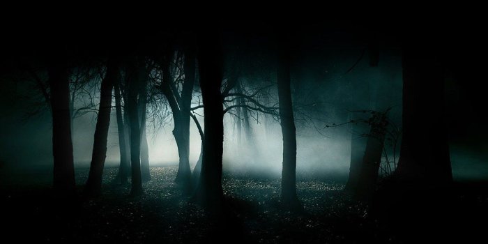 1024x819 Dark Forest Gothic Wallpaper | skyclad0_1
