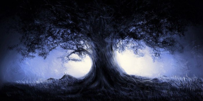 1920x1080 Dark Forest Wallpaper 1080p | Natures Wallpapers in 2019 | Dark