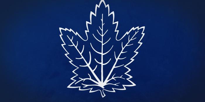2560x1440 Toronto Maple Leafs Wallpapers #38I7N77 - 4USkY