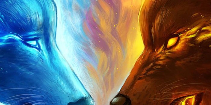1007x894 Fire and Ice Wolf Wallpapers - Top Free Fire and Ice Wolf