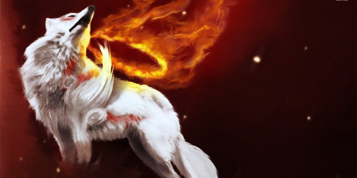 1920x1080 Wolf on fire wallpaper - Fantasy wallpapers - #6950