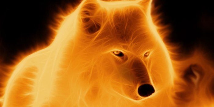 1366x768 fantasy wolf art wallpaper | Fantasy Fire Wolf Wallpaper | THE WOLF