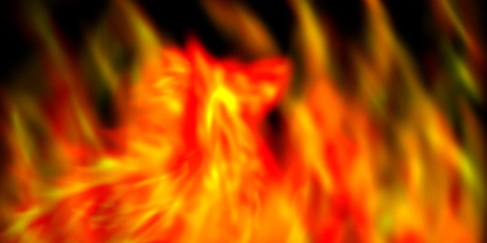 1024x768 60+ Wolf On Fire Wallpapers - Download at WallpaperBro