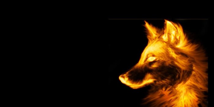 1600x1024 fire black background wolves 1600x1024 wallpaper High Quality