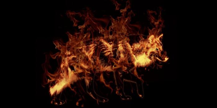 1191x670 Fire Wolf Wallpapers - Top Free Fire Wolf Backgrounds - WallpaperAccess