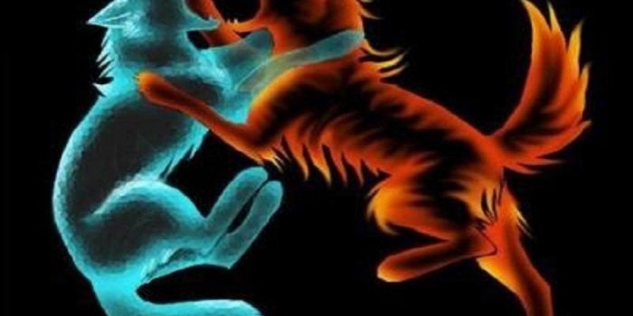 1600x900 FIRE AND ICE FIGHTING WOLVES WALLPAPER ( Desktop Background