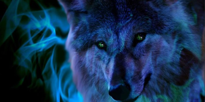 1024x768 Ice Wolf Wallpaper (37+ images) on Genchi.info