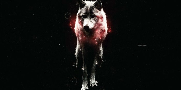 2560x1600 Waiting In The Darkness HD desktop wallpaper : Widescreen : High