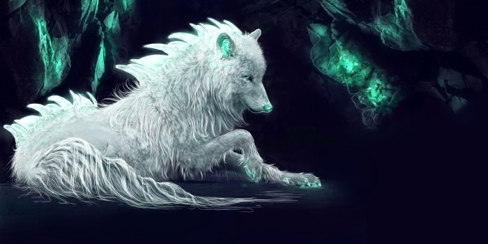 5000x3000 142 4K Ultra HD Wolf Wallpapers | Background Images