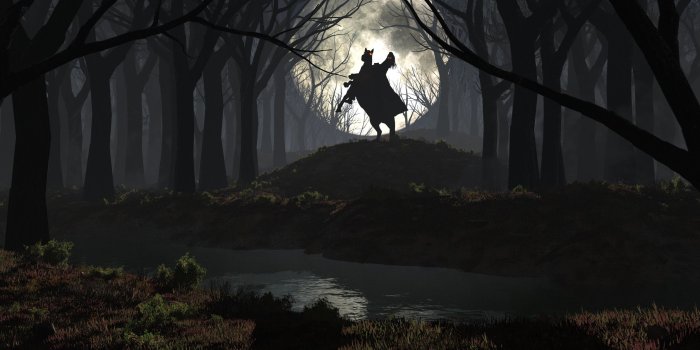 2560x1600 28 Forest HD Wallpapers | Background Images