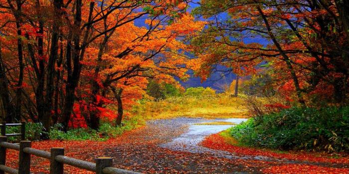 1920x1080 Fall Scene Wallpaper (35+ images)