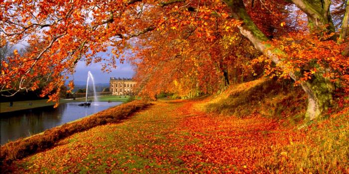 2560x1600 Fall Scenes Wallpaper and Screensavers (58+ images)
