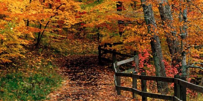 1024x768 75+] Fall Scene Wallpaper on WallpaperSafari