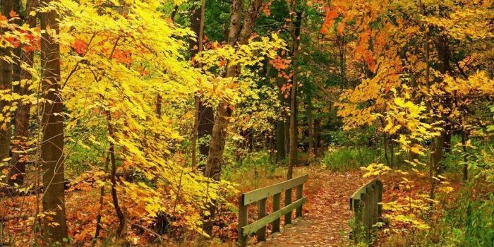 1024x768 Free Desktop Wallpapers Fall Scenes