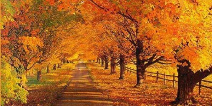 1920x1080 50+ Fall Scene Wallpapers on WallpaperPlay