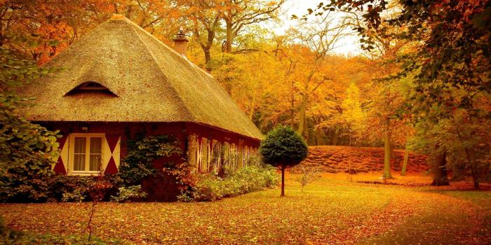 2560x1440 40 Autumn Scene Background Wallpaper for Desktop