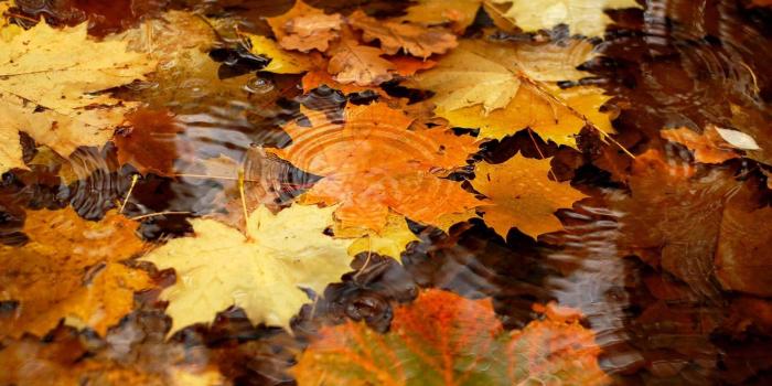 2560x1600 Free Desktop Wallpapers Fall Scenes