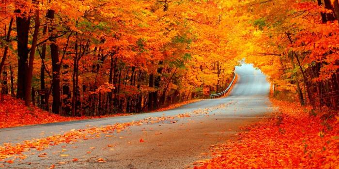 2560x1440 Res: 2560x1440 Fall Scene Wallpaper