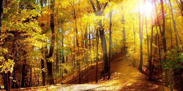 2000x1333 Autumn Scenes Wallpaper ·① WallpaperTag