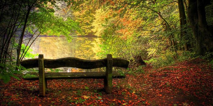 2560x1600 Desktop Wallpaper Fall Scenes (49+ pictures)