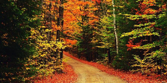 1920x1200 Autumn Scenes Images - Reverse Search