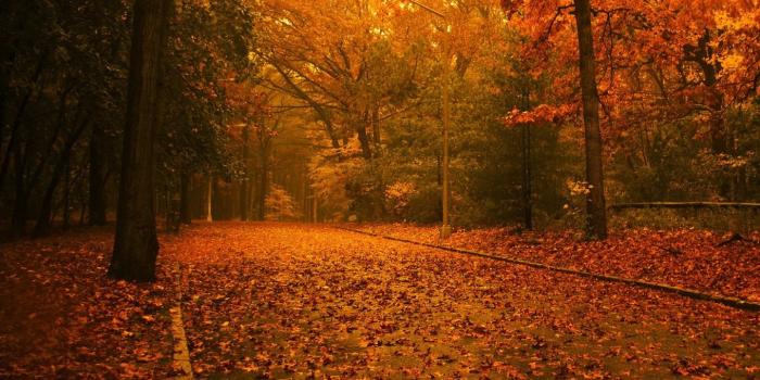 1440x1080 Fall scenes wallpaper Gallery
