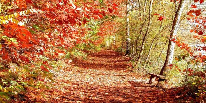 1600x1000 Most Beautiful Fall Scenes Tag Autumn Scenery Wallpaper