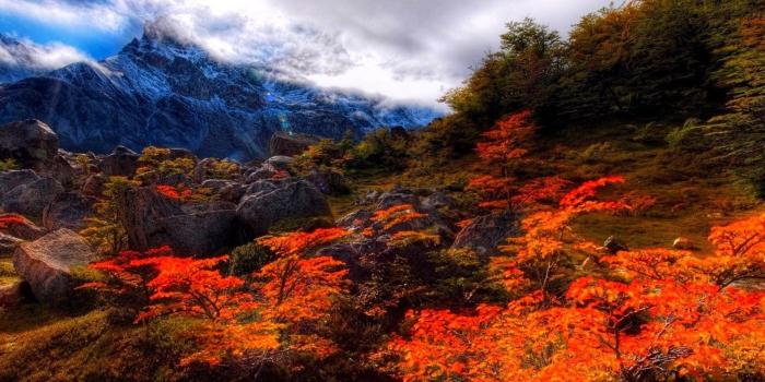 1920x1080 vertical-desktop-wallpaper-fall-scenes-1920×1080 | Style24x7