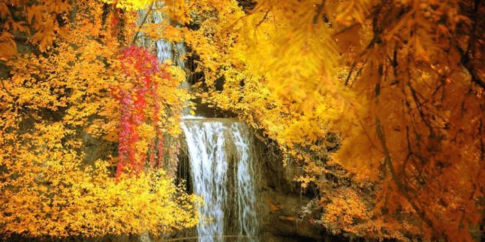 1024x768 Free desktop wallpaper fall scenes Gallery