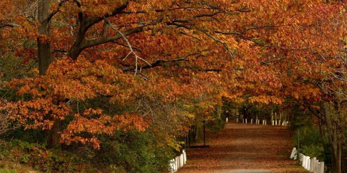 1920x1200 Desktop Wallpapers Fall Scenes (56+ background pictures)