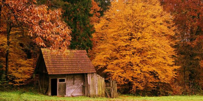 1920x1280 Desktop Wallpaper Fall Scenes Free #83ZLJ7S - Picserio.com