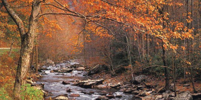 1024x768 49+] Fall Scenes Wallpaper Free on WallpaperSafari