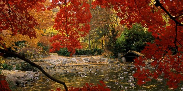 1600x1200 Desktop Wallpaper Fall Scenes - BRAVES DESKTOP WALLPAPERS