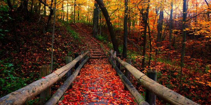 2560x1600 10 Latest Free Wallpaper Fall Scenes FULL HD 1920×1080 For PC