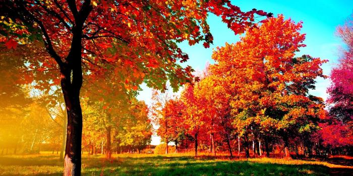 1920x1200 Desktop Wallpaper Fall Scenes (76+ images in Collection) Page 1