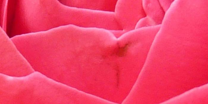 1440x2560 Most Design Ideas Bright Red Laptop Wallpaper Pictures, And