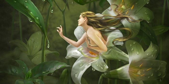 1920x1080 Flower Fairy HD Wallpaper | Background Image | 1920x1080 | ID:837192