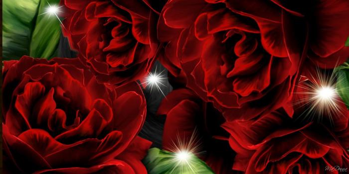 1920x1080 Flower: Sparkle Roses Shine Summer Stars Glow Flowers Romantic Day