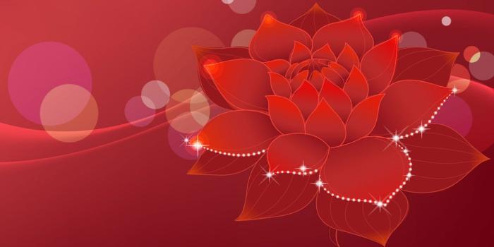 1280x800 Bright red flowers － Flower Wallpapers - Free download wallpapers