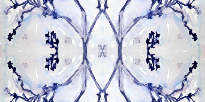 1000x1000 Indigo Blooms – Jennifer Latimer