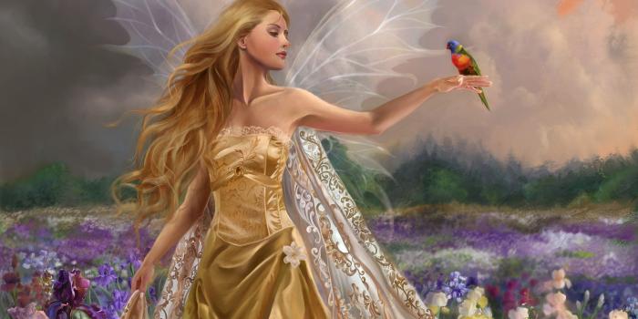 2560x1574 Fairy In Flower Field Wallpapers