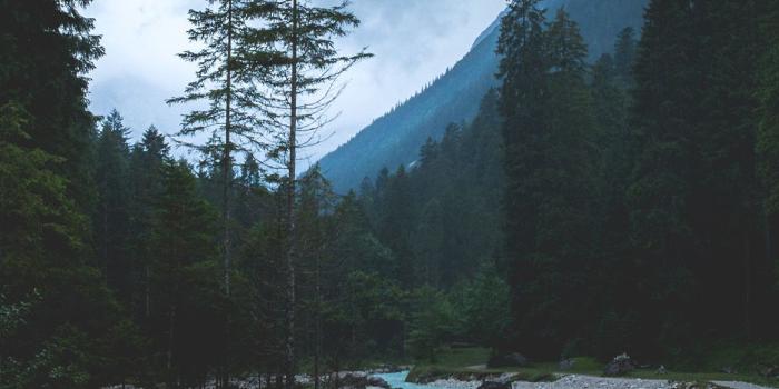 1242x2208 iPhonepapers.com | iPhone 8 wallpaper | np31-mountain-wood-night