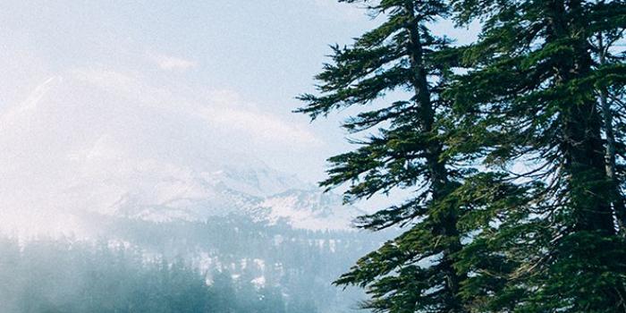 736x1308 Back to Nature iPhone Wallpaper Collection | Preppy Wallpapers