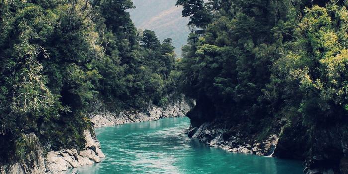 1242x2208 Nature iPhone Wallpapers - Top Free Nature iPhone Backgrounds