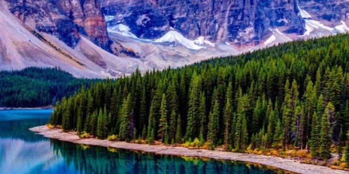 1125x2436 1125x2436 Best Nature Iphone XS,Iphone 10,Iphone X HD 4k Wallpapers