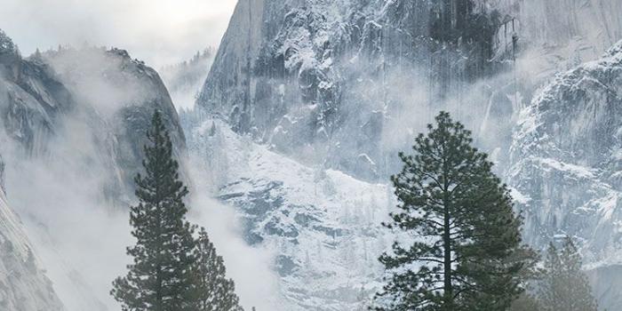 750x1334 50+] Best Nature iPhone Wallpapers on WallpaperSafari