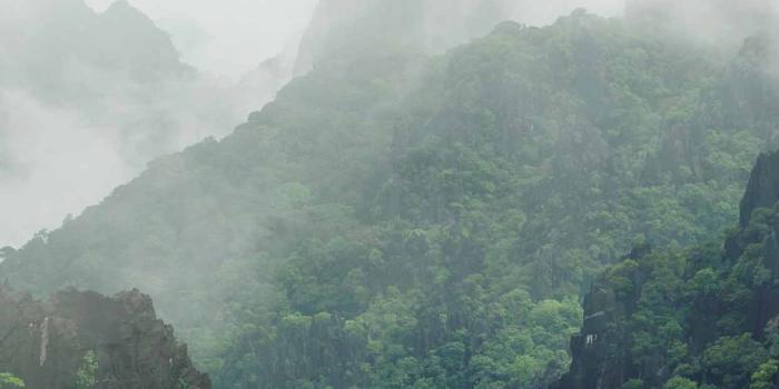 1242x2208 12 Best Nature iPhone XS Wallpapers - Home DIY